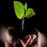 کلینیک ترک اعتیاد  ۲ شیفت