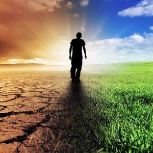 کلینیک ترک اعتیاد دو  شیفت  منطقه 1