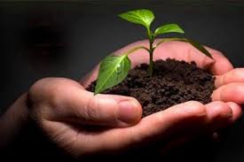 کلینیک  ترک اعتیاد ۲ شیفت منطقه 18