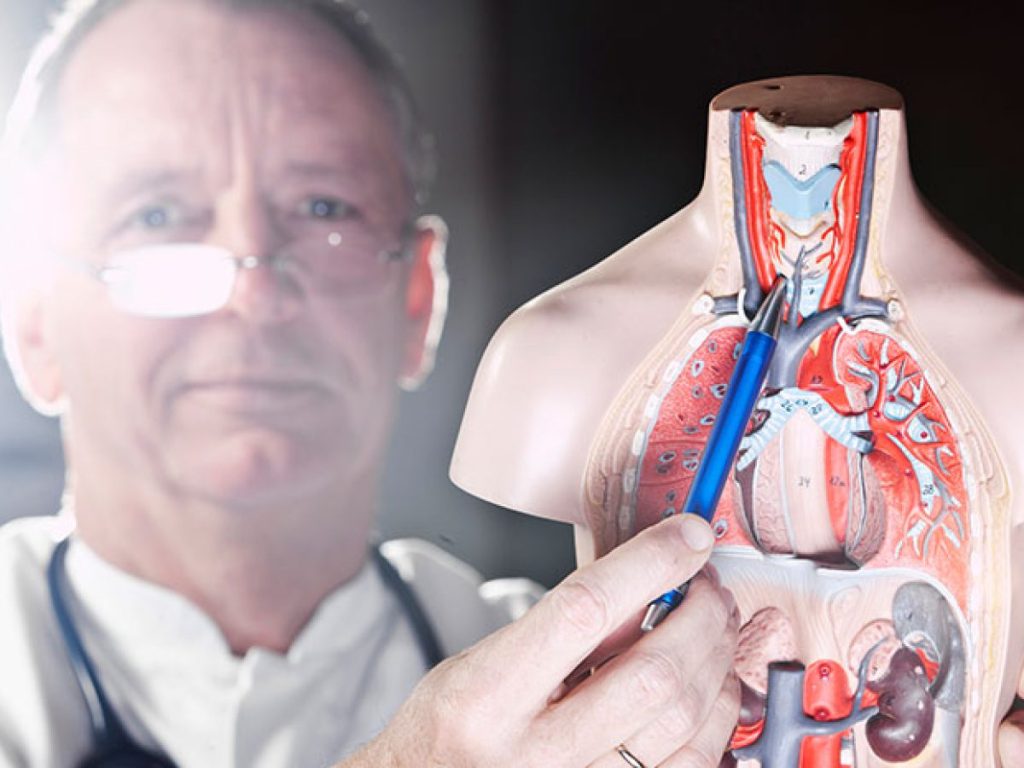 واگذاری سهام غدد بیمارستان تندیس جردن،گاندی،تابان