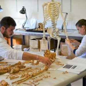 واگذاری سهام  پزشکی قانونی  بیمارستان تریتا