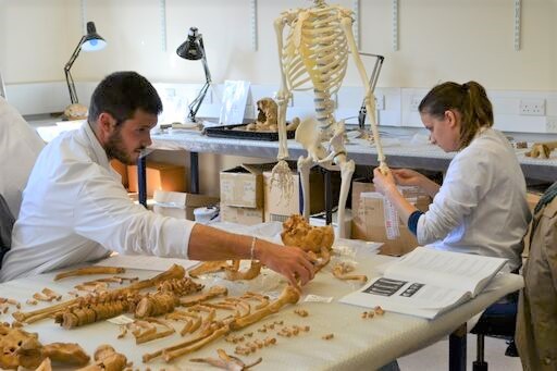 واگذاری سهام  پزشکی قانونی  بیمارستان تریتا