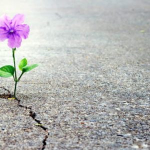 واگذاری کلینیک ترک اعتیاد ۲ شیفت منطقه 8